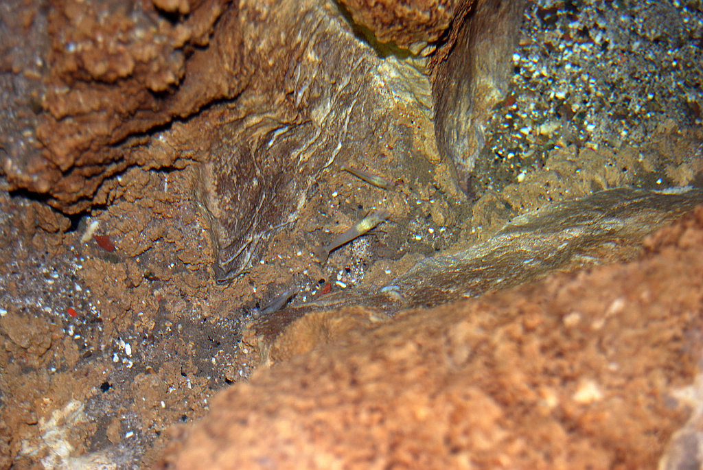 czarnogora-jaskinia-obodska5